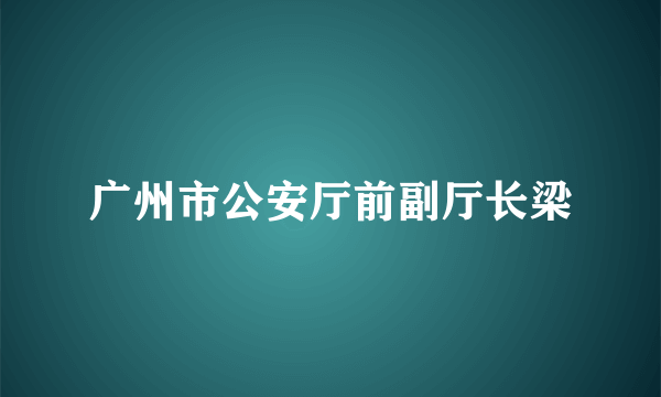 广州市公安厅前副厅长梁