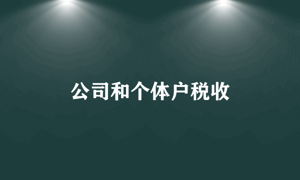 公司和个体户税收