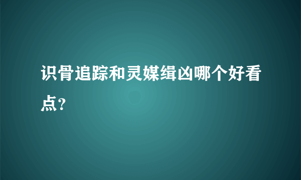 识骨追踪和灵媒缉凶哪个好看点？