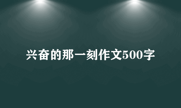 兴奋的那一刻作文500字