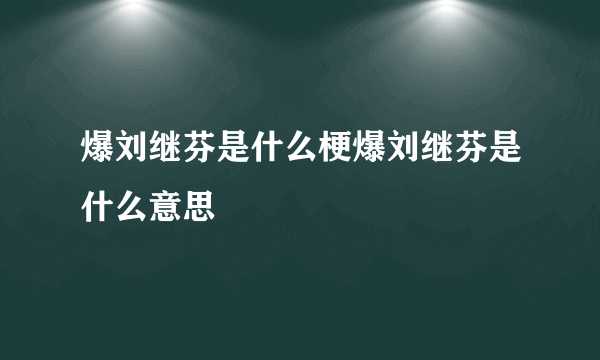 爆刘继芬是什么梗爆刘继芬是什么意思