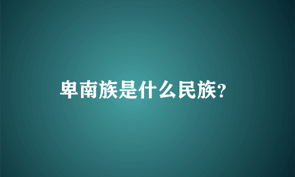 卑南族是什么民族？