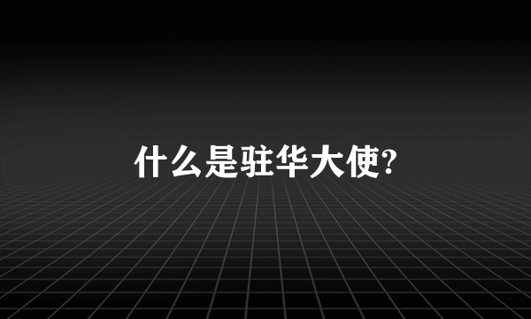 什么是驻华大使?