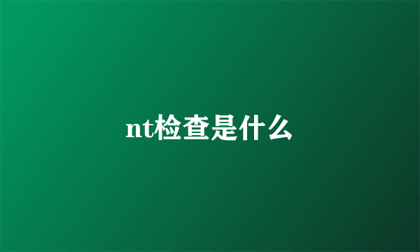 nt检查是什么