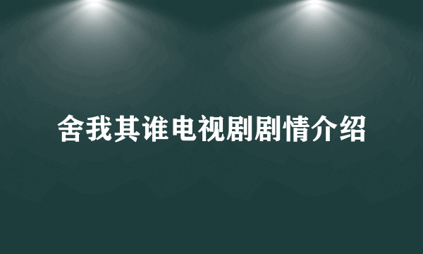 舍我其谁电视剧剧情介绍