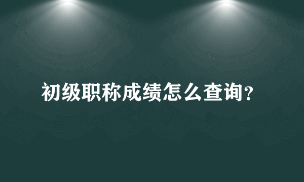 初级职称成绩怎么查询？