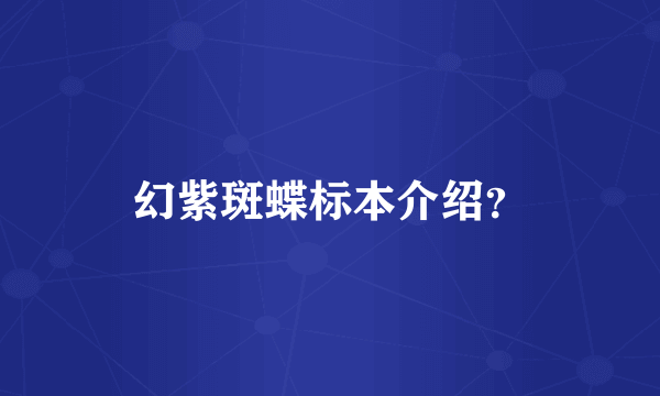 幻紫斑蝶标本介绍？