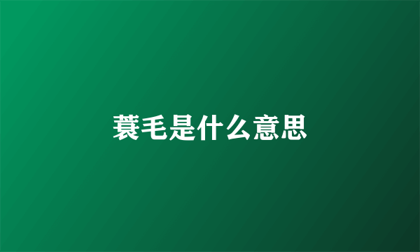 蓑毛是什么意思