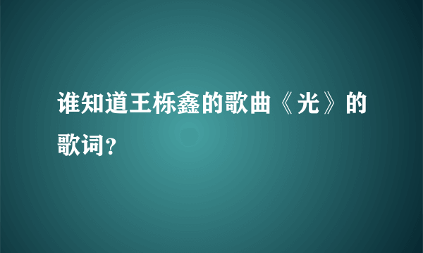 谁知道王栎鑫的歌曲《光》的歌词？