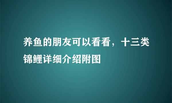 养鱼的朋友可以看看，十三类锦鲤详细介绍附图