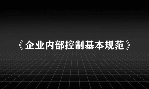 《企业内部控制基本规范》