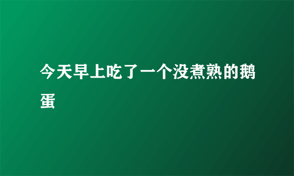 今天早上吃了一个没煮熟的鹅蛋