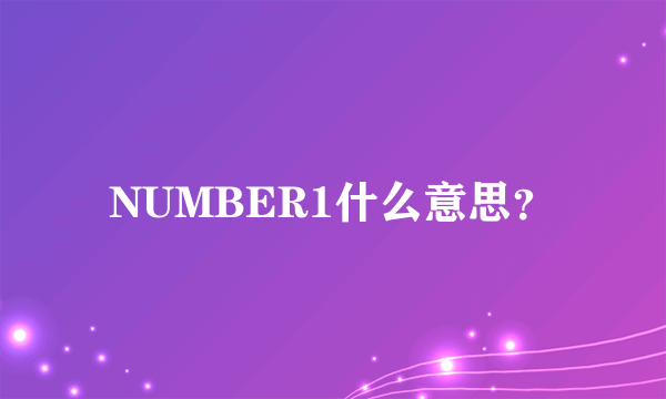 NUMBER1什么意思？