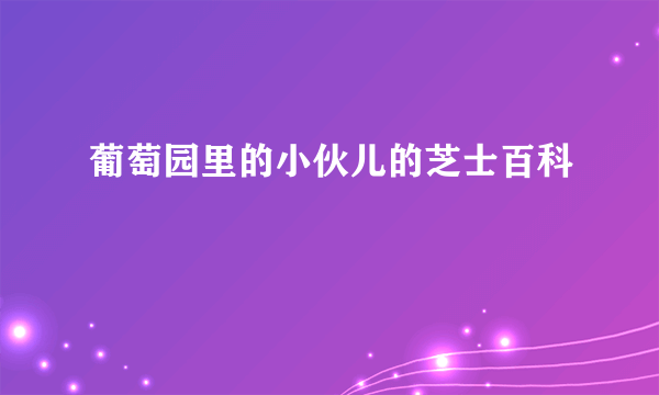 葡萄园里的小伙儿的芝士百科