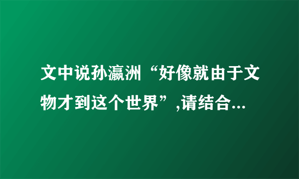 文中说孙瀛洲“好像就由于文物才到这个世界”,请结合材料谈谈你的看法。