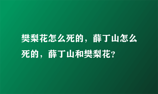 樊梨花怎么死的，薛丁山怎么死的，薛丁山和樊梨花？