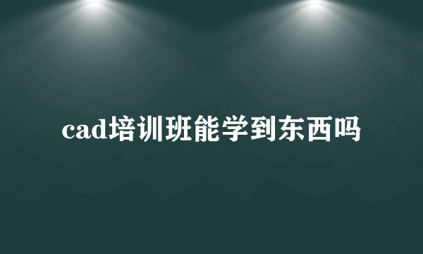 cad培训班能学到东西吗