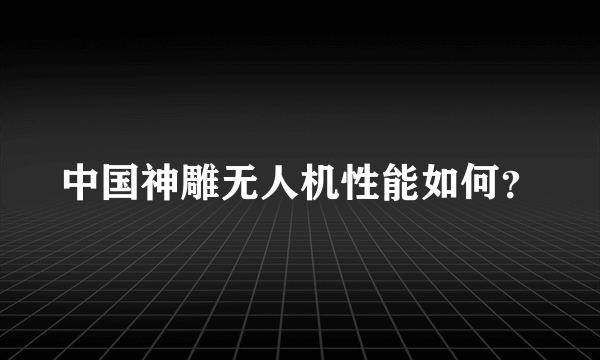 中国神雕无人机性能如何？