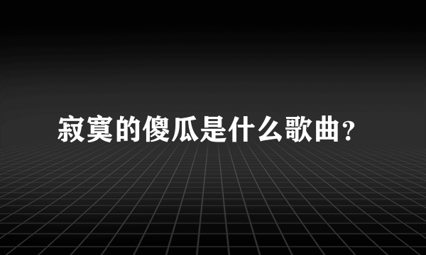 寂寞的傻瓜是什么歌曲？