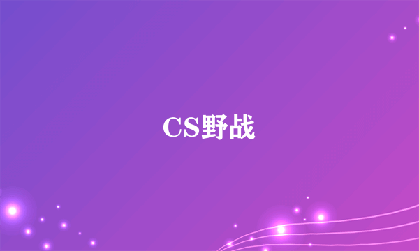 CS野战