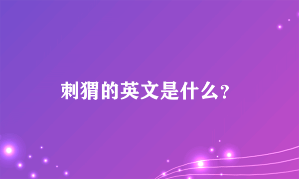 刺猬的英文是什么？