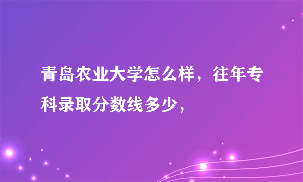 青岛农业大学怎么样，往年专科录取分数线多少，