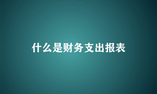 什么是财务支出报表