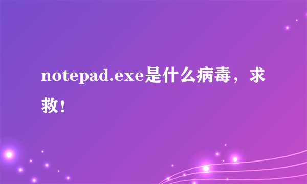 notepad.exe是什么病毒，求救！