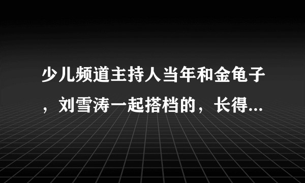 少儿频道主持人当年和金龟子，刘雪涛一起搭档的，长得挺帅的叫什么