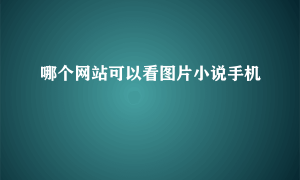 哪个网站可以看图片小说手机