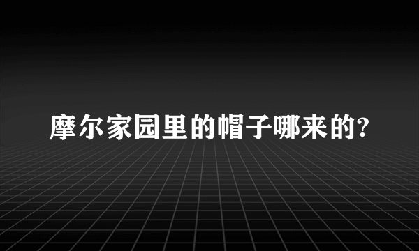 摩尔家园里的帽子哪来的?