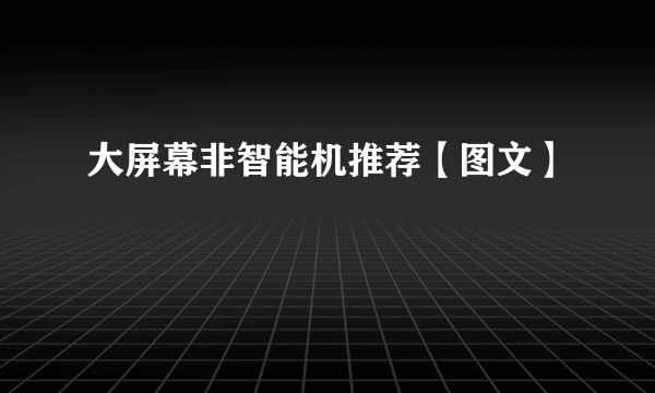 大屏幕非智能机推荐【图文】