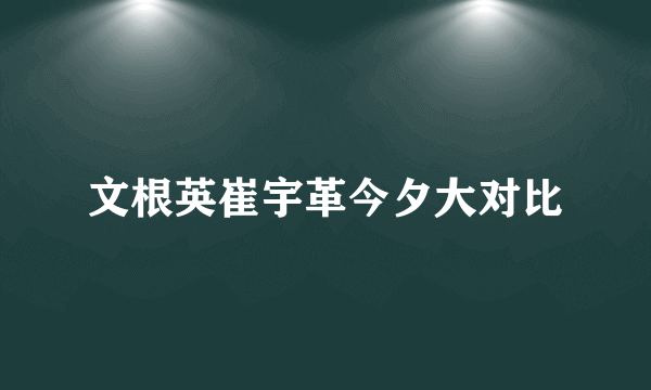 文根英崔宇革今夕大对比