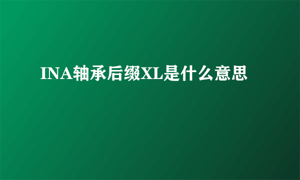 INA轴承后缀XL是什么意思