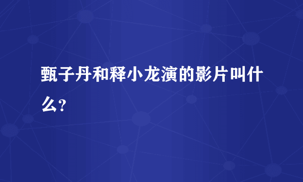 甄子丹和释小龙演的影片叫什么？