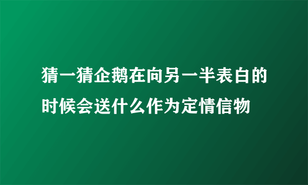 猜一猜企鹅在向另一半表白的时候会送什么作为定情信物