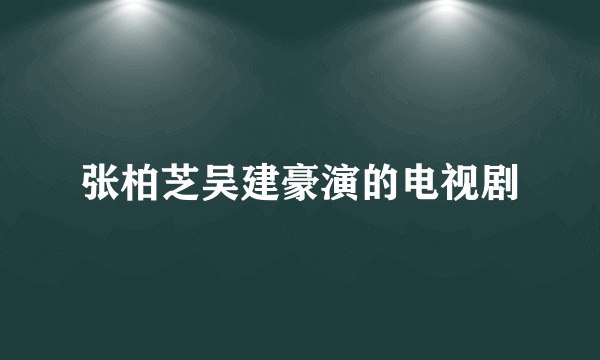 张柏芝吴建豪演的电视剧