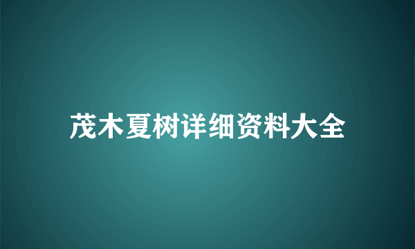 茂木夏树详细资料大全