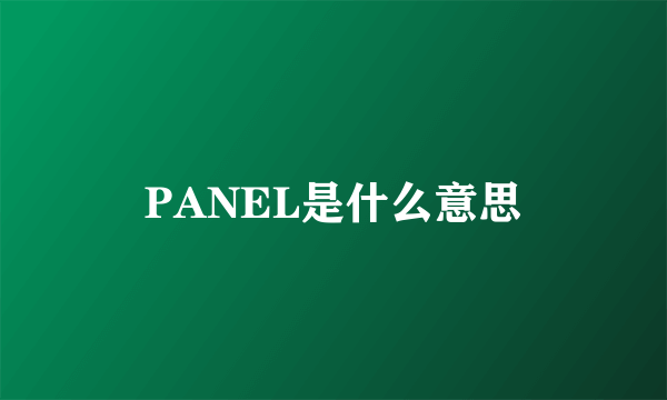 PANEL是什么意思