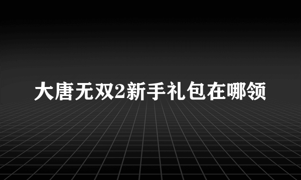 大唐无双2新手礼包在哪领