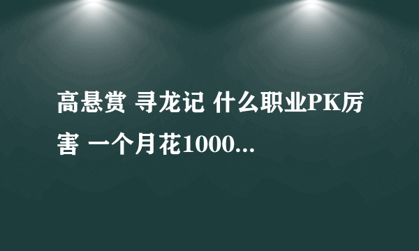 高悬赏 寻龙记 什么职业PK厉害 一个月花1000到3000块钱左右能玩不错的！还有玩这游戏的一些新的！