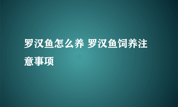 罗汉鱼怎么养 罗汉鱼饲养注意事项