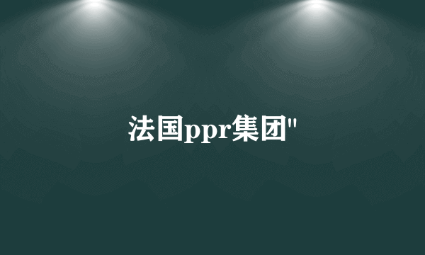 法国ppr集团