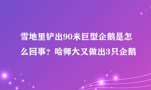 雪地里铲出90米巨型企鹅是怎么回事？哈师大又做出3只企鹅