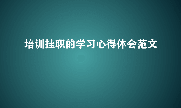 培训挂职的学习心得体会范文