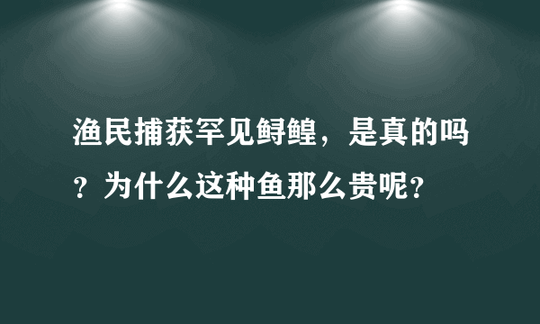 渔民捕获罕见鲟鳇，是真的吗？为什么这种鱼那么贵呢？