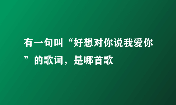 有一句叫“好想对你说我爱你”的歌词，是哪首歌