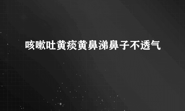 咳嗽吐黄痰黄鼻涕鼻子不透气