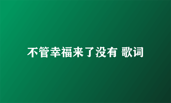 不管幸福来了没有 歌词