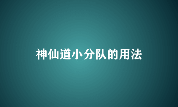 神仙道小分队的用法